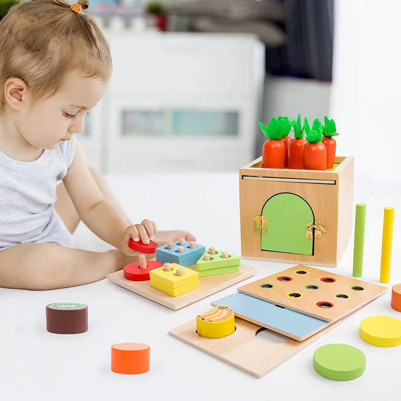 Montessori 6-in-1 Sorting Tool